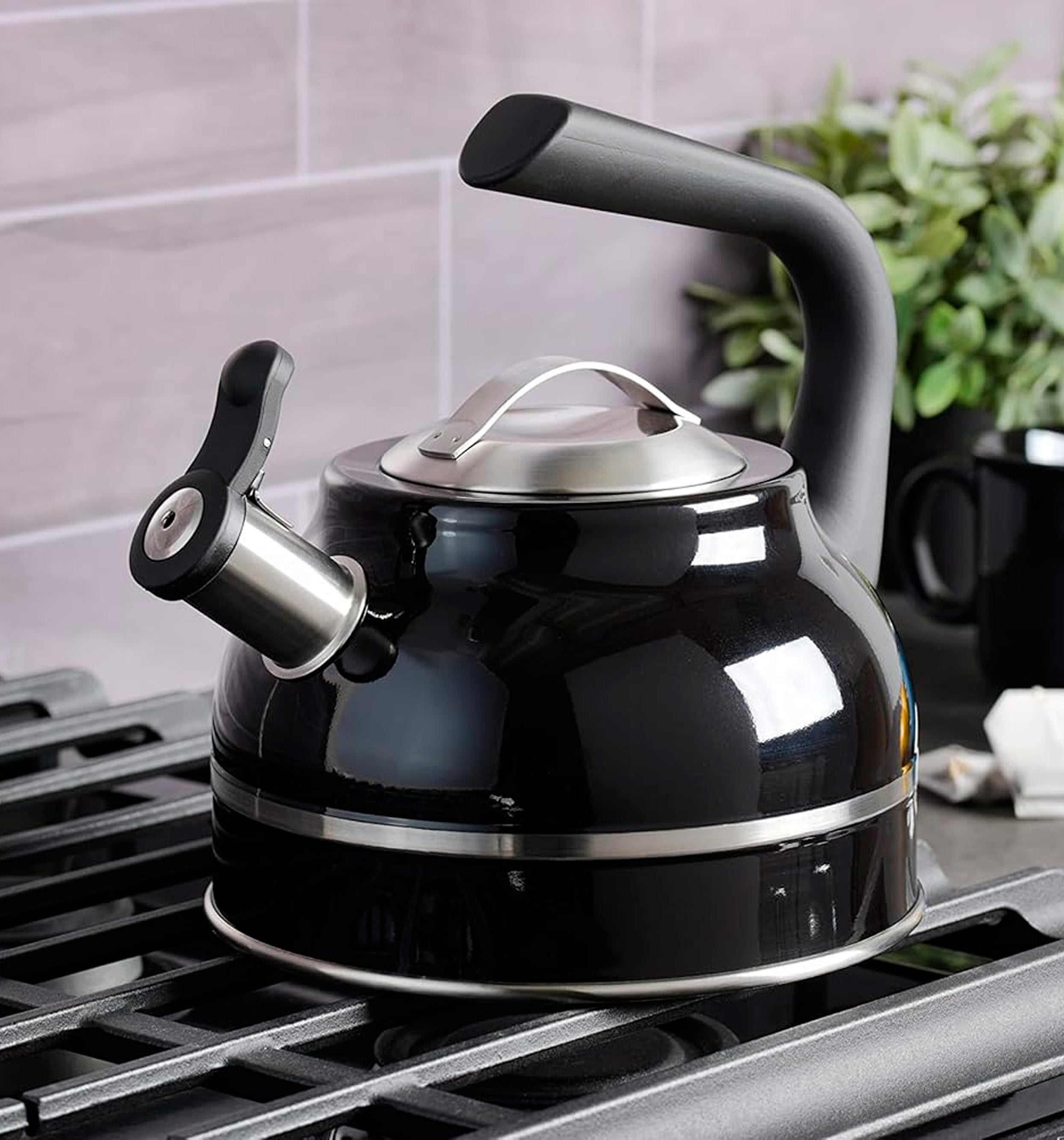 Kettle Whistling 2 Qt Regalo