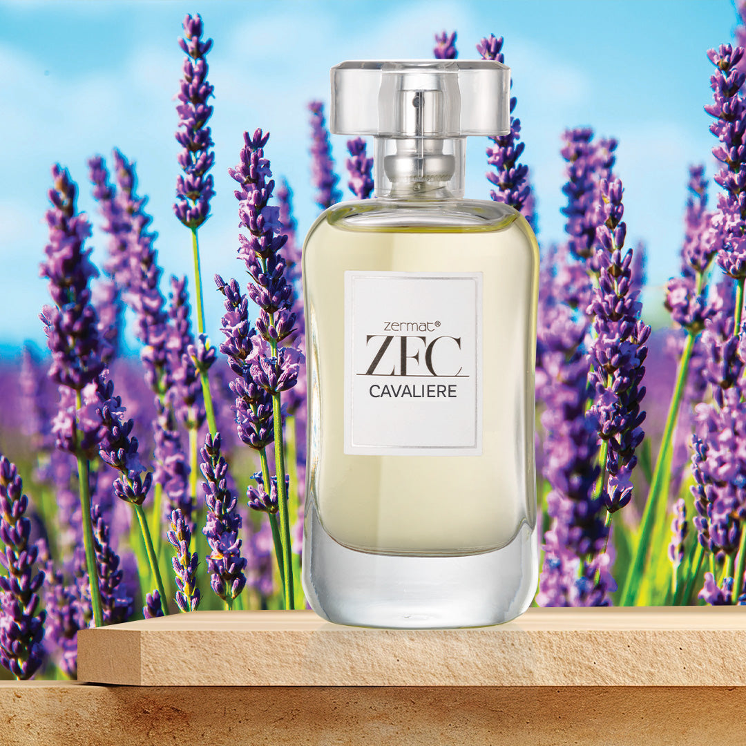Cavaliere Eau de Toilette ZFC Zentimento – Zermat USA