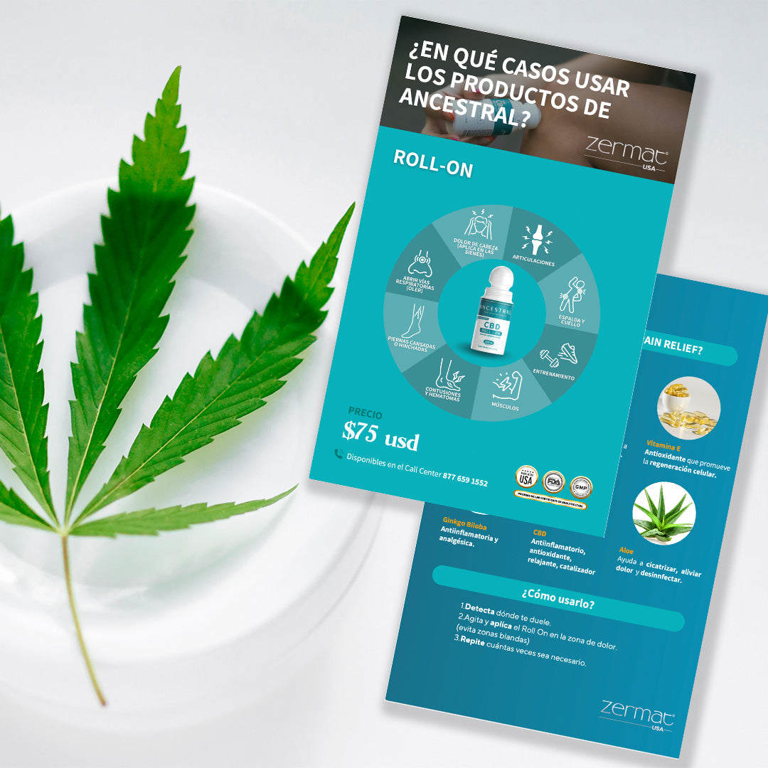 CBD ROLL-ON  POSTCARD ANCESTRAL